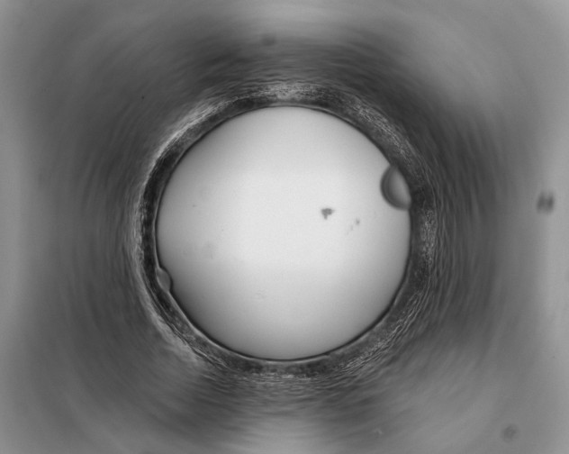 X0000097870730200804110923