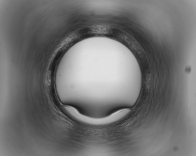 X0000097870731200804110923