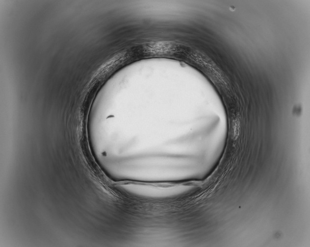 X0000097870733200804110923