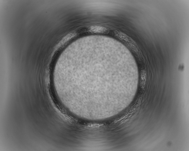 X0000097870734200804110923