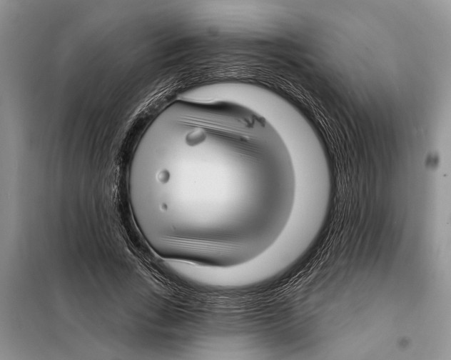 X0000097870735200804110923