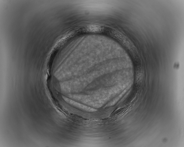 X0000097870736200804110923