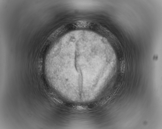 X0000097870737200804110923
