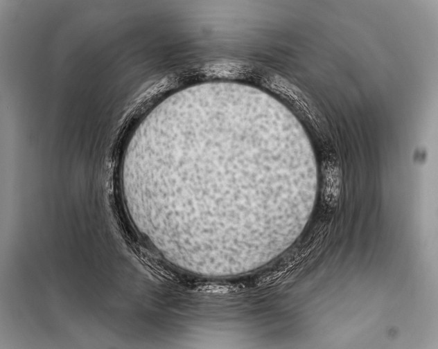 X0000097870738200804110923