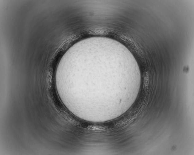 X0000097870739200804110923