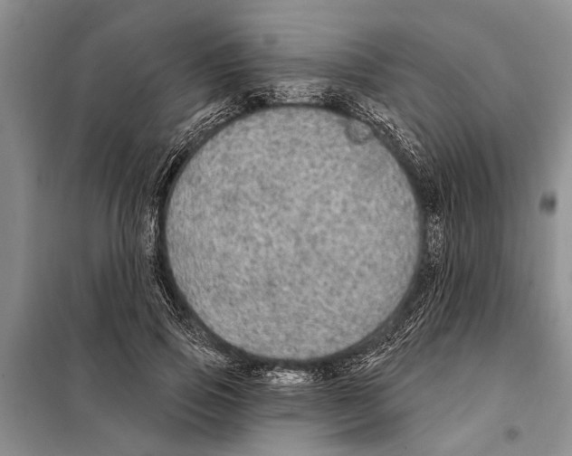 X0000097870741200804110923