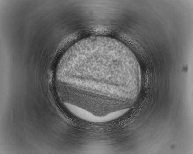 X0000097870742200804110923