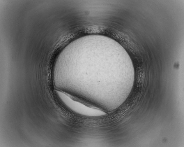 X0000097870743200804110923
