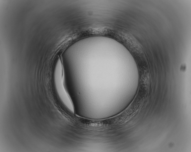 X0000097870744200804110923