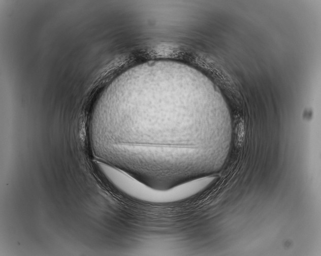X0000097870746200804110923