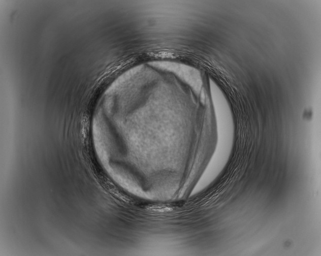 X0000097870747200804110923