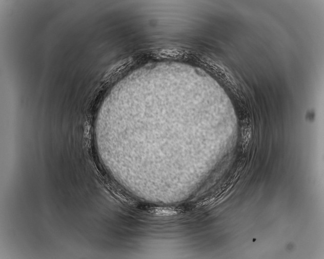 X0000097870749200804110924