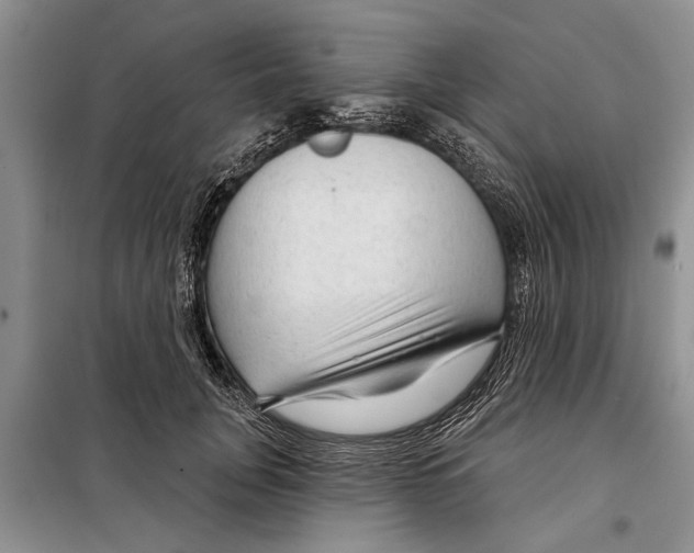 X0000097870751200804110924