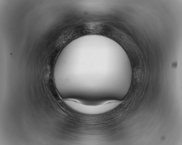X0000097870752200804110924