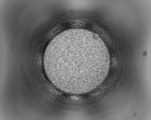 X0000097870753200804110924