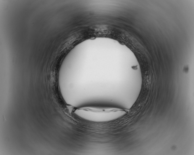 X0000097870756200804110924