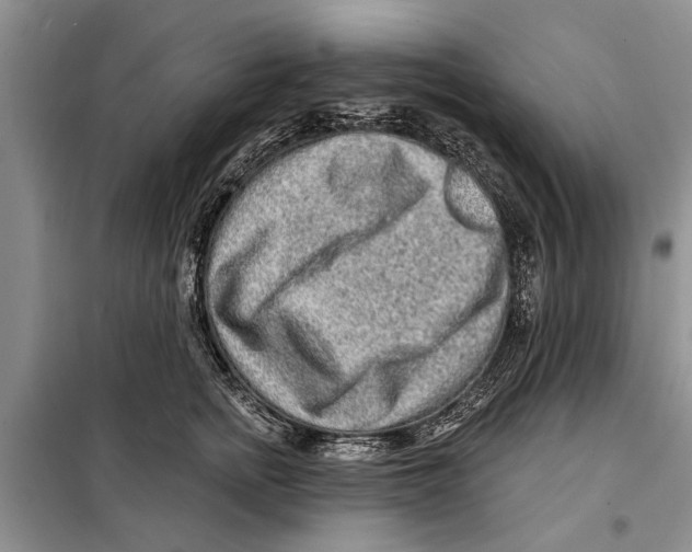 X0000097870758200804110924