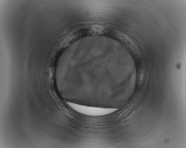 X0000097870759200804110924