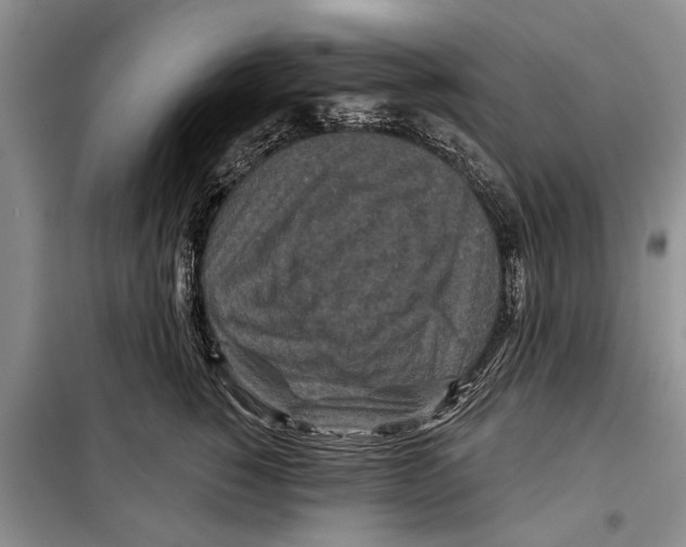 X0000097870760200804110924