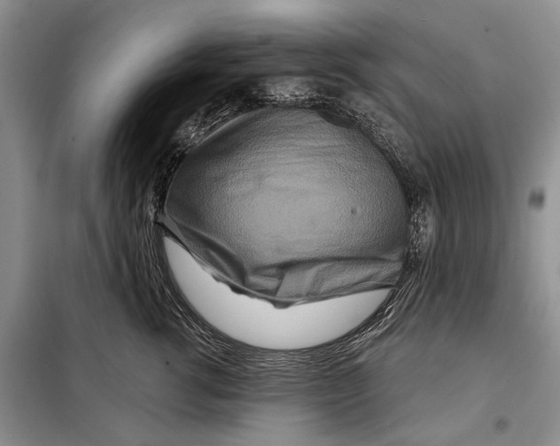 X0000097870762200804110924