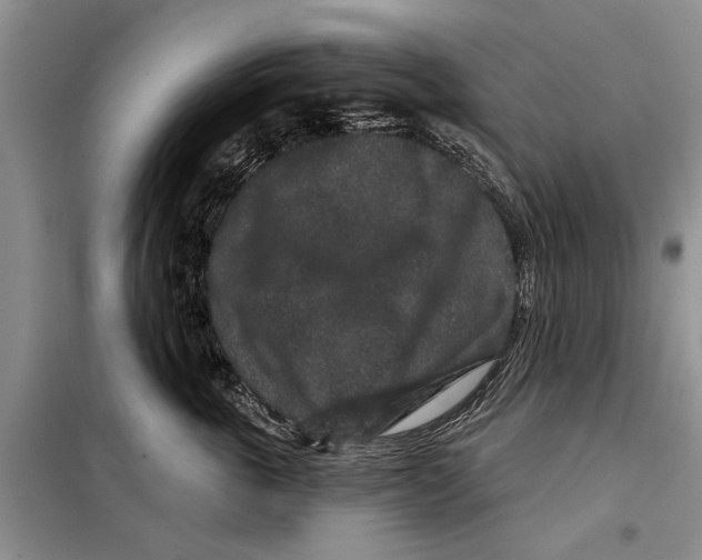 X0000097870763200804110924