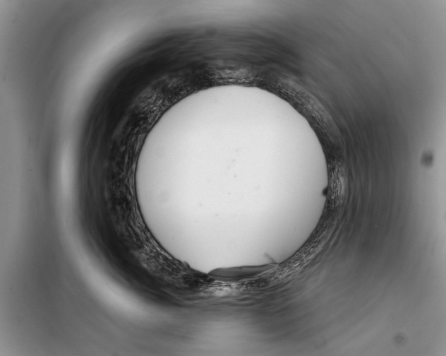 X0000097870764200804110924