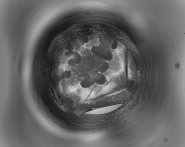 X0000097870765200804110924