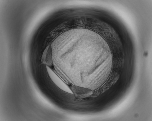 X0000097870766200804110924
