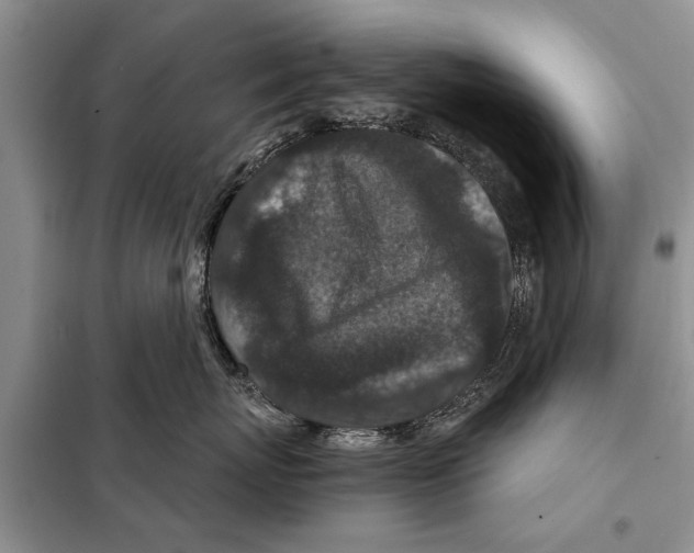 X0000097870767200804110924