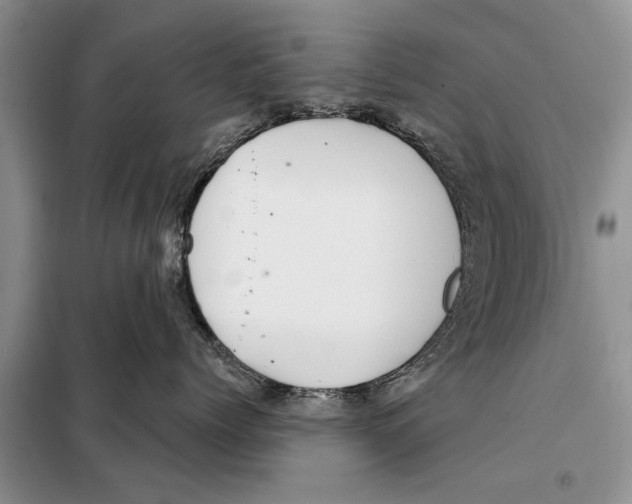 X0000097870768200804110924