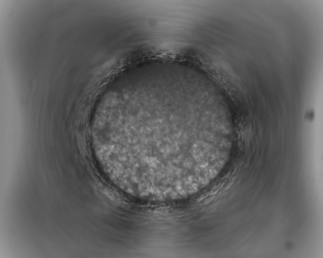X0000097870769200804110923
