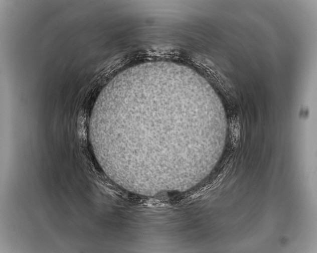 X0000097870770200804110923