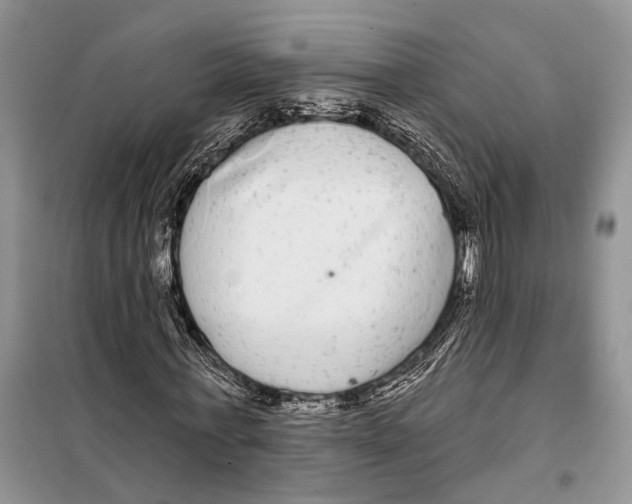 X0000097870771200804110923