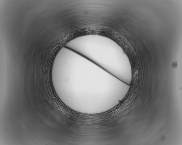 X0000097870772200804110923
