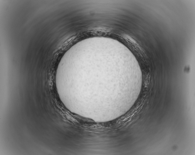 X0000097870774200804110923