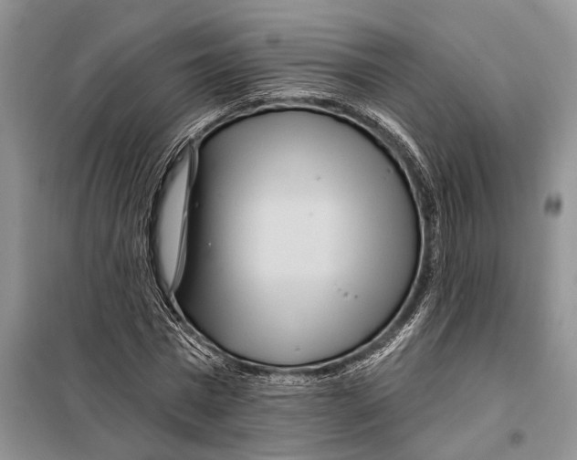 X0000097870777200804110923