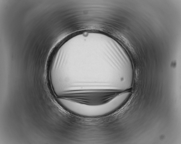 X0000097870780200804110923