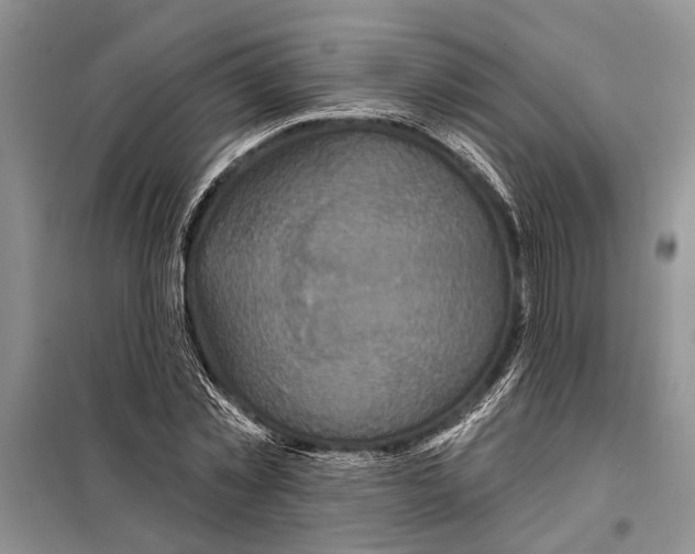 X0000097870781200804110923