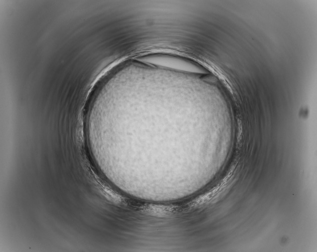X0000097870782200804110923