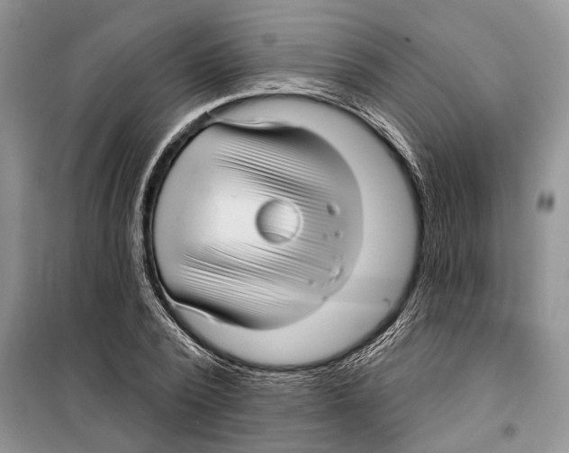 X0000097870784200804110923