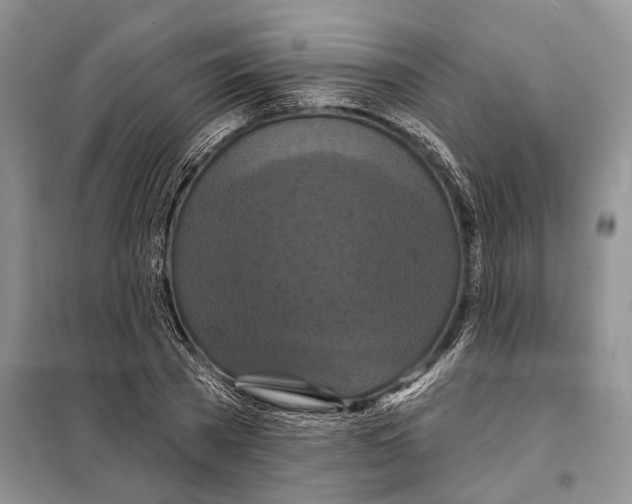 X0000097870785200804110923