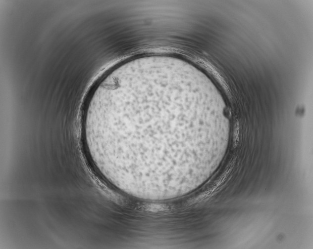 X0000097870787200804110923