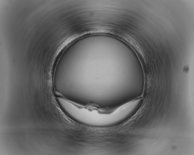 X0000097870789200804110923