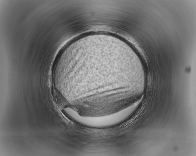X0000097870791200804110923