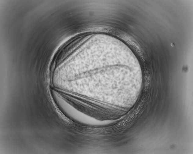 X0000097870792200804110923