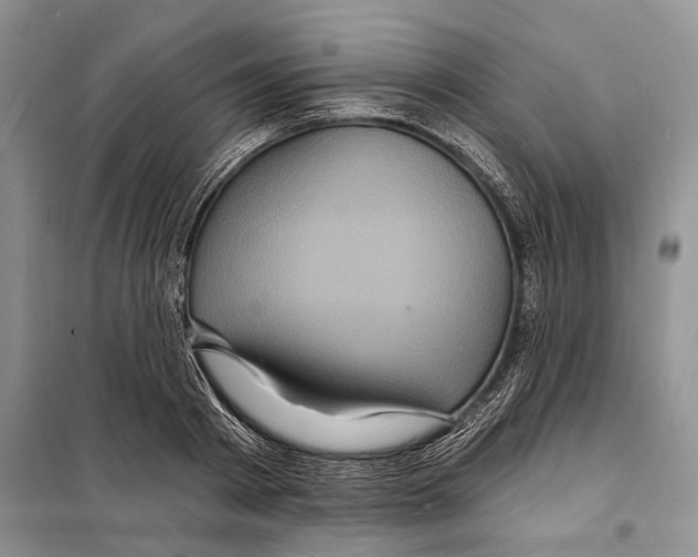 X0000097870793200804110923