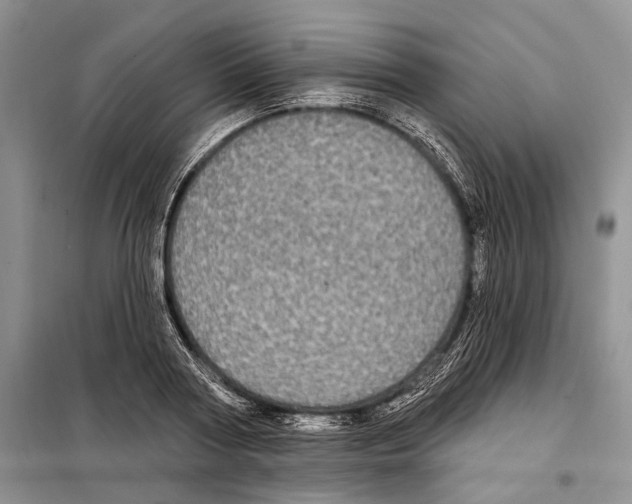 X0000097870794200804110923