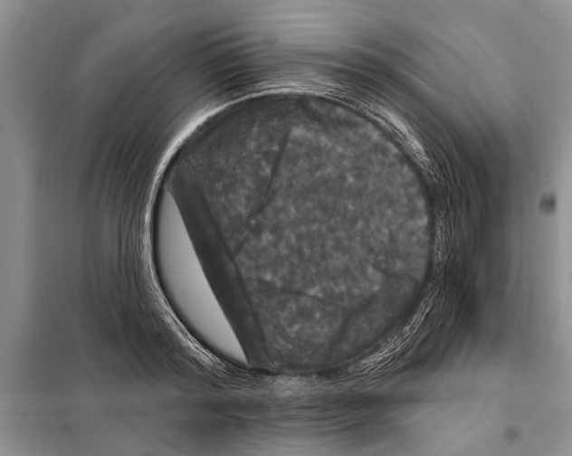 X0000097870796200804110923