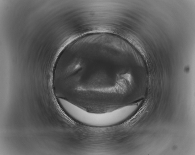 X0000097870797200804110923