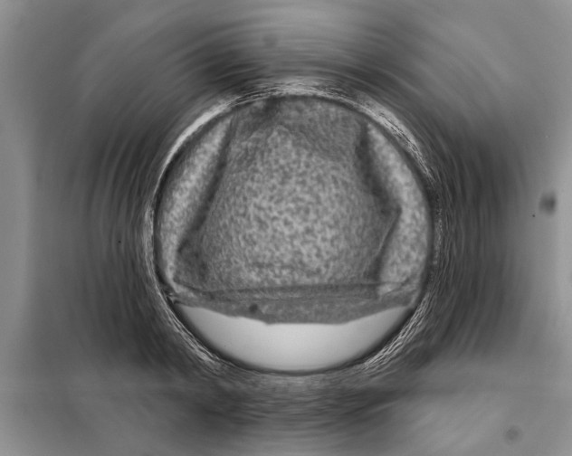 X0000097870798200804110923